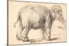 An Elephant-Rembrandt van Rijn-Stretched Canvas