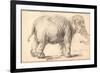 An Elephant-Rembrandt van Rijn-Framed Giclee Print