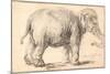 An Elephant-Rembrandt van Rijn-Mounted Giclee Print