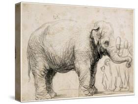 An Elephant-Rembrandt van Rijn-Stretched Canvas