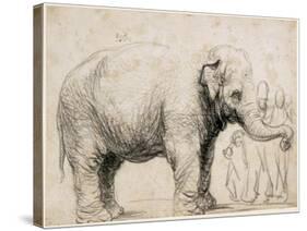 An Elephant-Rembrandt van Rijn-Stretched Canvas