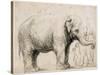 An Elephant-Rembrandt van Rijn-Stretched Canvas