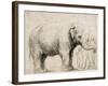 An Elephant-Rembrandt van Rijn-Framed Art Print