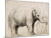 An Elephant-Rembrandt van Rijn-Mounted Art Print