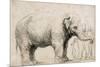 An Elephant-Rembrandt van Rijn-Mounted Art Print