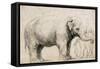 An Elephant-Rembrandt van Rijn-Framed Stretched Canvas