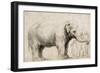 An Elephant-Rembrandt van Rijn-Framed Art Print