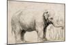 An Elephant-Rembrandt van Rijn-Mounted Art Print