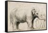 An Elephant-Rembrandt van Rijn-Framed Stretched Canvas