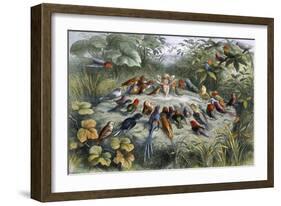 An Elf and Birds-null-Framed Giclee Print