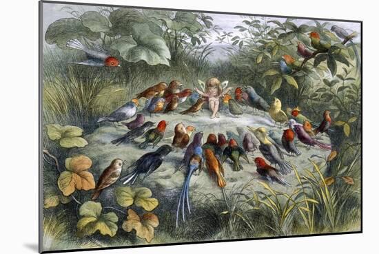 An Elf and Birds-null-Mounted Giclee Print