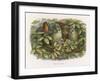 An Elf Fraternises with the Owls-Richard Doyle-Framed Art Print