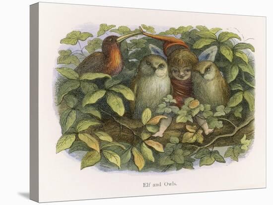 An Elf Fraternises with the Owls-Richard Doyle-Stretched Canvas