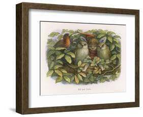 An Elf Fraternises with the Owls-Richard Doyle-Framed Art Print