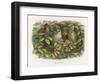 An Elf Fraternises with the Owls-Richard Doyle-Framed Art Print