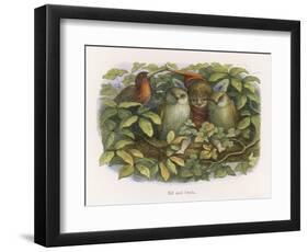 An Elf Fraternises with the Owls-Richard Doyle-Framed Art Print