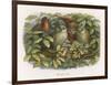 An Elf Fraternises with the Owls-Richard Doyle-Framed Art Print