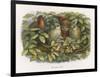 An Elf Fraternises with the Owls-Richard Doyle-Framed Art Print