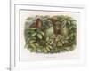 An Elf Fraternises with the Owls-Richard Doyle-Framed Art Print