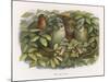 An Elf Fraternises with the Owls-Richard Doyle-Mounted Art Print