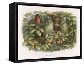 An Elf Fraternises with the Owls-Richard Doyle-Framed Stretched Canvas