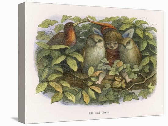 An Elf Fraternises with the Owls-Richard Doyle-Stretched Canvas