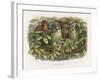 An Elf Fraternises with the Owls-Richard Doyle-Framed Art Print