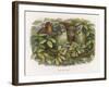 An Elf Fraternises with the Owls-Richard Doyle-Framed Art Print