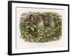 An Elf Fraternises with the Owls-Richard Doyle-Framed Art Print