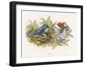 An Elf Steals a Bird's Egg-Richard Doyle-Framed Art Print