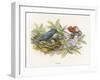 An Elf Steals a Bird's Egg-Richard Doyle-Framed Art Print