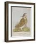 An Emblem of Wisdom Made of Wood, 1820-null-Framed Giclee Print