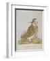An Emblem of Wisdom Made of Wood, 1820-null-Framed Giclee Print