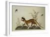 An Embroidered Panel of a Tiger Chasing Small Birds Among Bamboo, in Shades of Green & Brown Silks-null-Framed Giclee Print