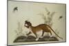 An Embroidered Panel of a Tiger Chasing Small Birds Among Bamboo, in Shades of Green & Brown Silks-null-Mounted Giclee Print