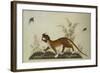 An Embroidered Panel of a Tiger Chasing Small Birds Among Bamboo, in Shades of Green & Brown Silks-null-Framed Giclee Print