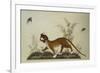 An Embroidered Panel of a Tiger Chasing Small Birds Among Bamboo, in Shades of Green & Brown Silks-null-Framed Giclee Print