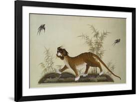 An Embroidered Panel of a Tiger Chasing Small Birds Among Bamboo, in Shades of Green & Brown Silks-null-Framed Giclee Print