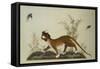 An Embroidered Panel of a Tiger Chasing Small Birds Among Bamboo, in Shades of Green & Brown Silks-null-Framed Stretched Canvas