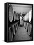 An Employee of the Knockando Whisky Distillery in Scotland, January 1972-null-Framed Stretched Canvas