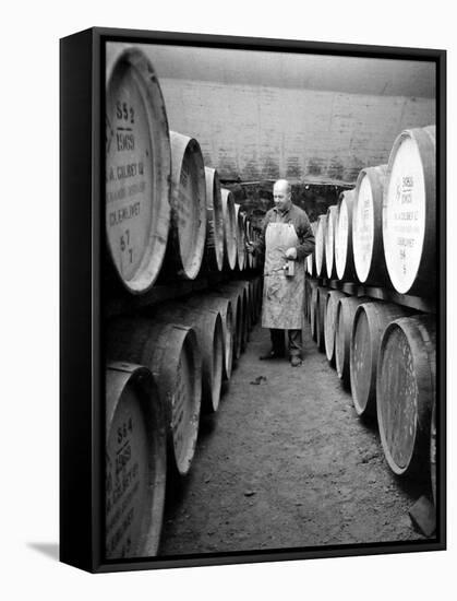 An Employee of the Knockando Whisky Distillery in Scotland, January 1972-null-Framed Stretched Canvas