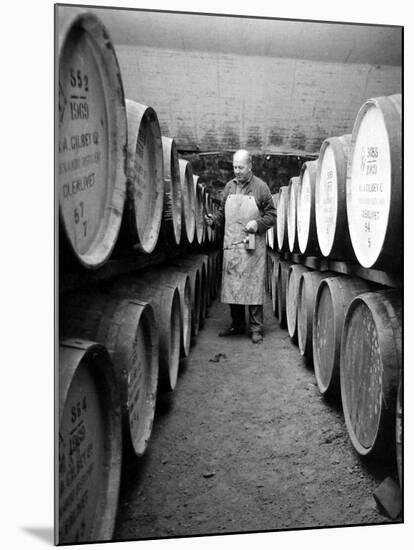An Employee of the Knockando Whisky Distillery in Scotland, January 1972-null-Mounted Photographic Print