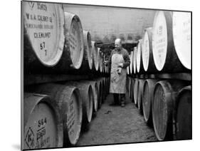 An Employee of the Knockando Whisky Distillery in Scotland, January 1972-null-Mounted Premium Photographic Print