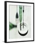 An Empty Plate Next to a Silhouette of Bottles, a Glass and a Fork-Michael Wissing-Framed Photographic Print