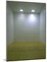 An Empty Racquetball Court-null-Mounted Photographic Print