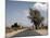 An Empty Road and the Barren Landscape of Western Eritrea, Africa-Mcconnell Andrew-Mounted Photographic Print