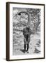 An Emu Man Performing the Sacred Totem of His Group, Australia, 1922-Spencer and Gillen-Framed Giclee Print