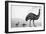 An Emu with Her Chicks-English School-Framed Giclee Print