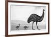 An Emu with Her Chicks-English School-Framed Giclee Print