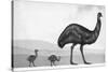 An Emu with Her Chicks-English School-Stretched Canvas